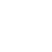 Google icon in white