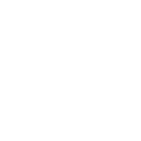 Twitter social media icon in white