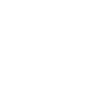 Instagram social media icon in white